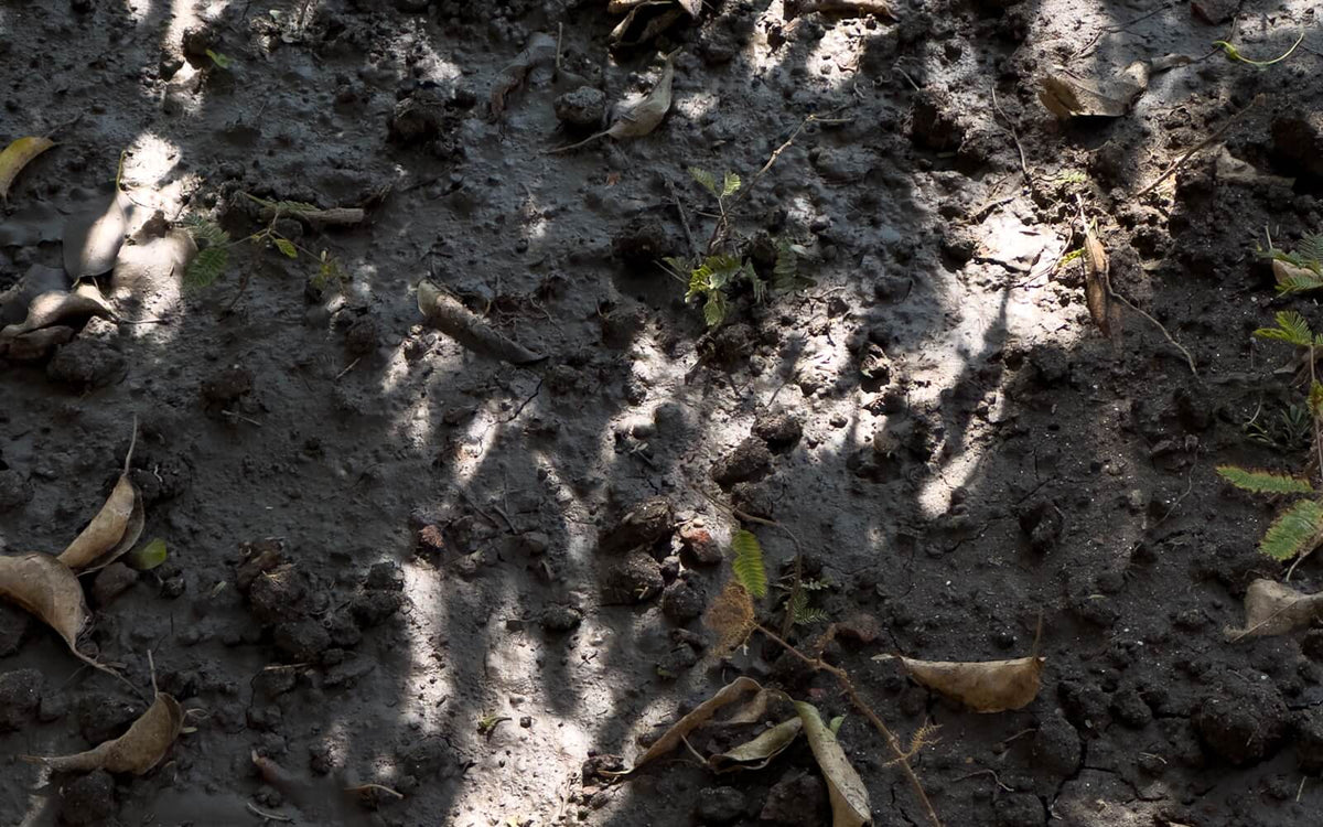 我們是 soil select